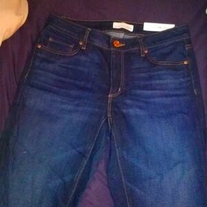 Ann Taylor loft jeans new!